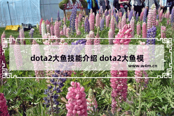 dota2大鱼技能介绍 dota2大鱼模型