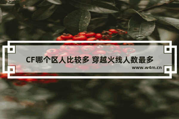 CF哪个区人比较多 穿越火线人数最多