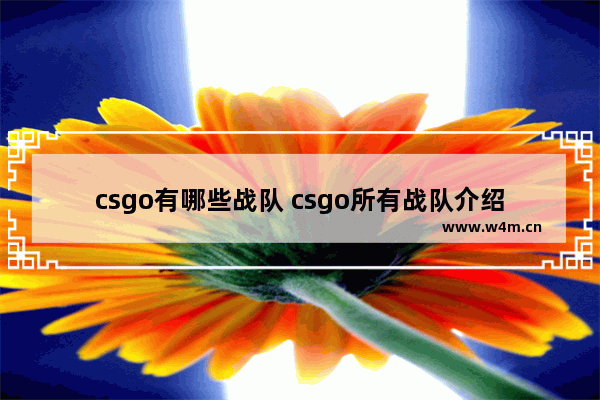 csgo有哪些战队 csgo所有战队介绍