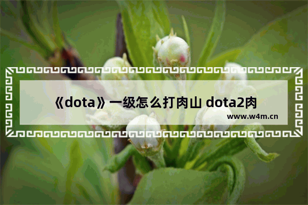 《dota》一级怎么打肉山 dota2肉山刷新机制