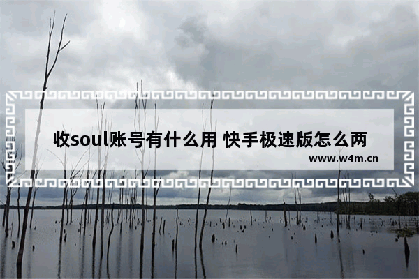 收soul账号有什么用 快手极速版怎么两个号一起提现