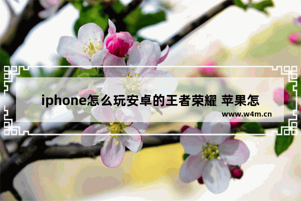 iphone怎么玩安卓的王者荣耀 苹果怎么登安卓号王者荣耀