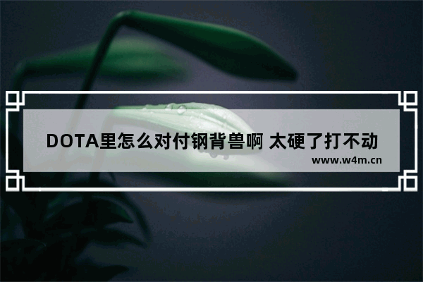 DOTA里怎么对付钢背兽啊 太硬了打不动 求解 dota2克制钢背