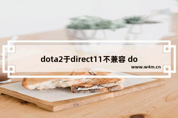 dota2于direct11不兼容 dota2dx11无法选择1920*1080