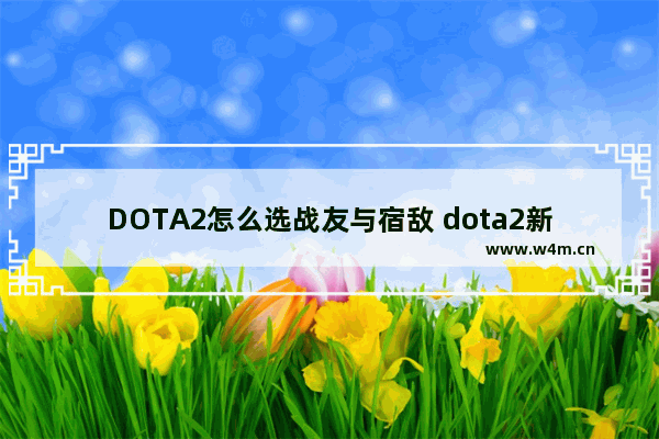 DOTA2怎么选战友与宿敌 dota2新手玩哪个服