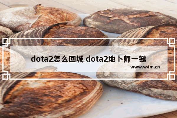 dota2怎么回城 dota2地卜师一键