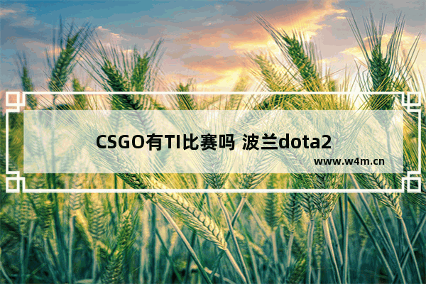 CSGO有TI比赛吗 波兰dota2