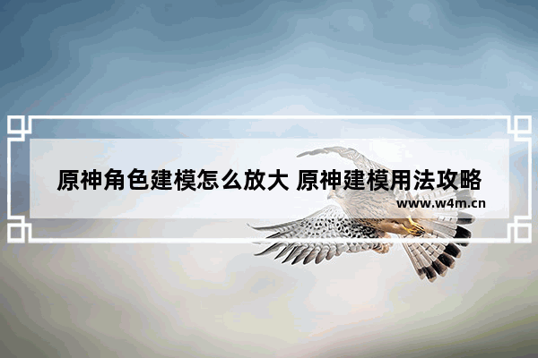 原神角色建模怎么放大 原神建模用法攻略