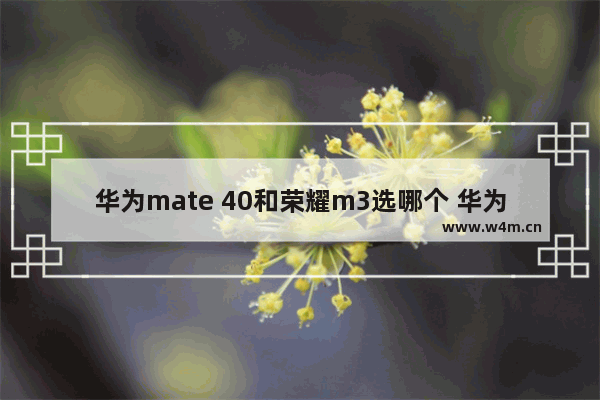 华为mate 40和荣耀m3选哪个 华为m3玩王者荣耀