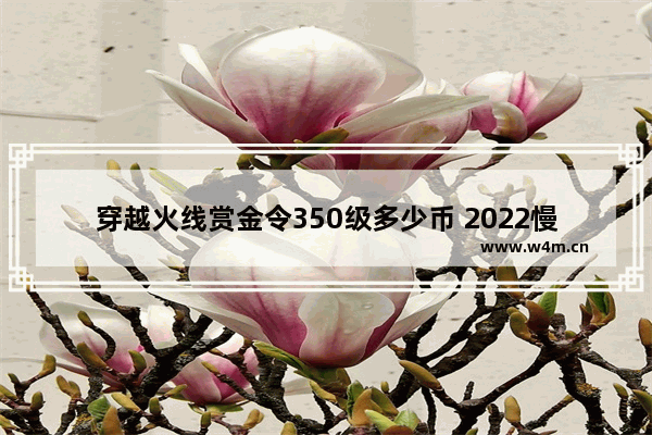 穿越火线赏金令350级多少币 2022慢病起付线