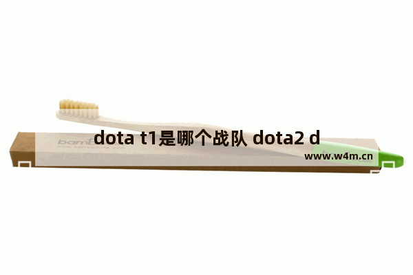 dota t1是哪个战队 dota2 dream