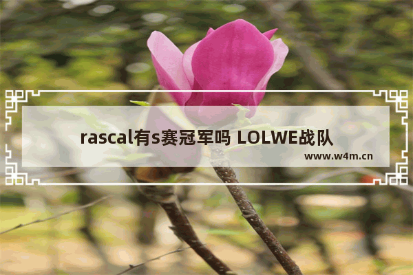 rascal有s赛冠军吗 LOLWE战队所有成员和他们的ID名字