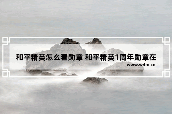 和平精英怎么看勋章 和平精英1周年勋章在哪里