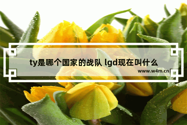 ty是哪个国家的战队 lgd现在叫什么