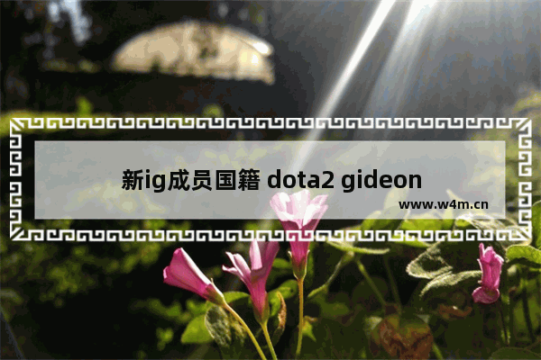 新ig成员国籍 dota2 gideon