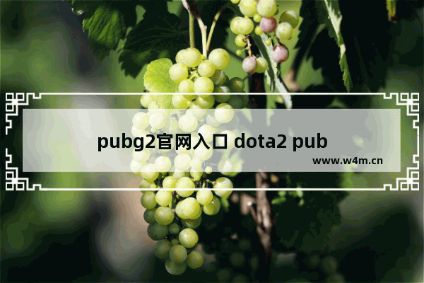 pubg2官网入口 dota2 pub