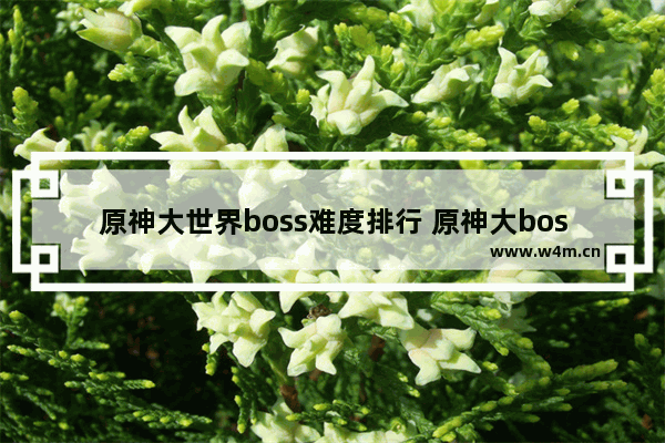 原神大世界boss难度排行 原神大boss位置