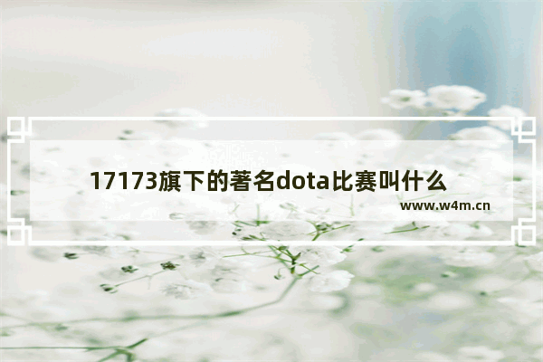 17173旗下的著名dota比赛叫什么 请问SOLO是什么意思啊