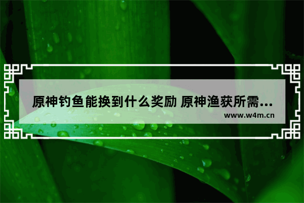 原神钓鱼能换到什么奖励 原神渔获所需兑换材料及鱼饵