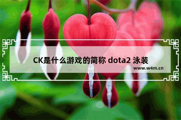 CK是什么游戏的简称 dota2 泳装