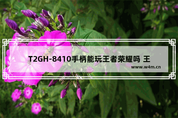 T2GH-8410手柄能玩王者荣耀吗 王者荣耀新h