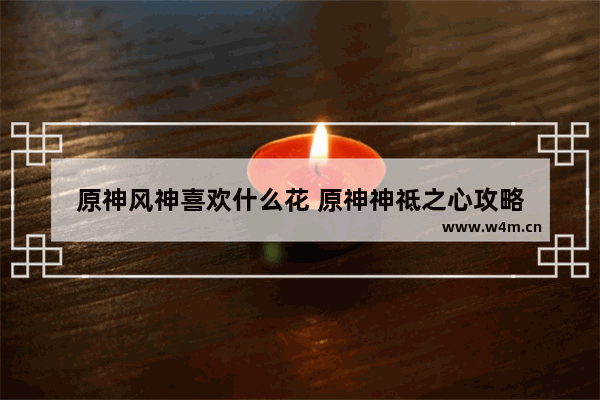 原神风神喜欢什么花 原神神祗之心攻略