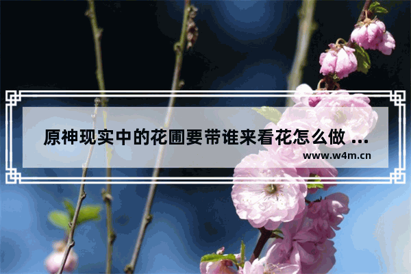 原神现实中的花圃要带谁来看花怎么做 原神塞西莉娅花圃怎么解锁