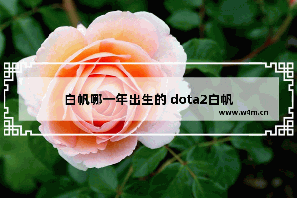 白帆哪一年出生的 dota2白帆