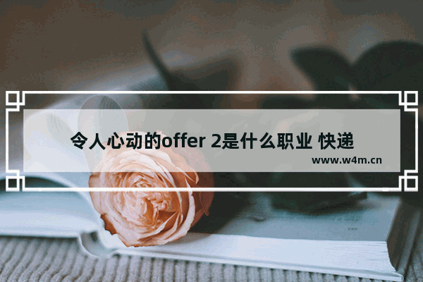 令人心动的offer 2是什么职业 快递一级网点和二级网点主要区别是什么