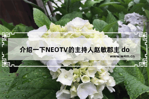 介绍一下NEOTV的主持人赵敏郡主 dota2 neotv