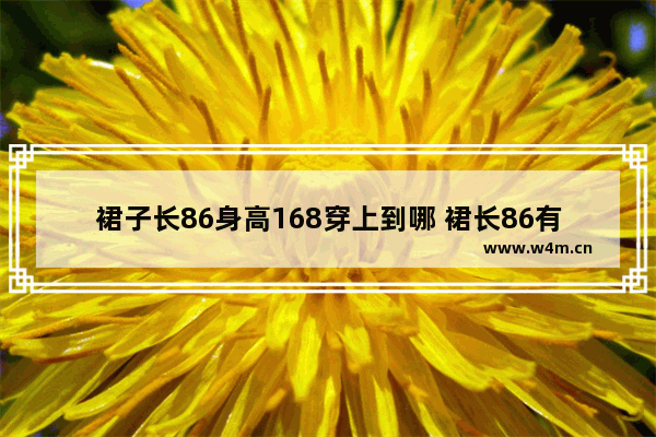 裙子长86身高168穿上到哪 裙长86有多长