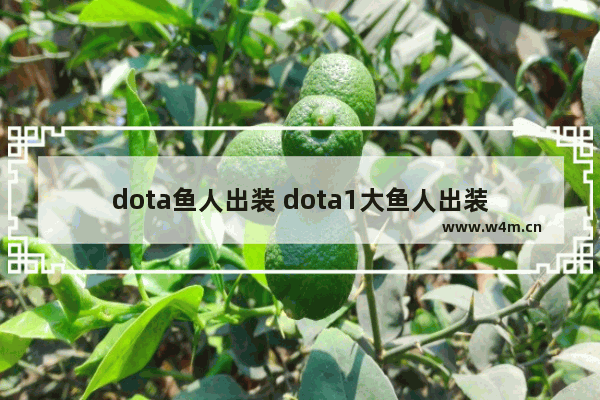 dota鱼人出装 dota1大鱼人出装