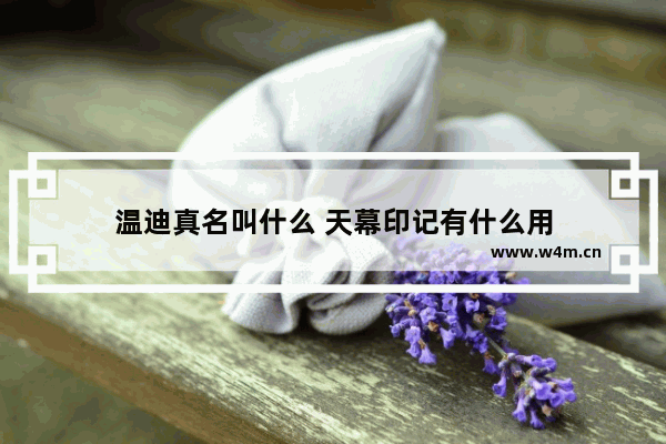 温迪真名叫什么 天幕印记有什么用