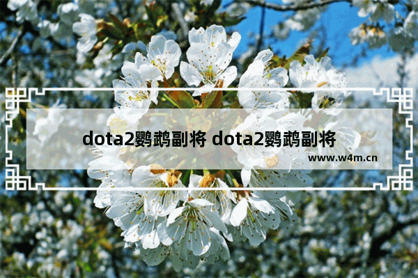 dota2鹦鹉副将 dota2鹦鹉副将