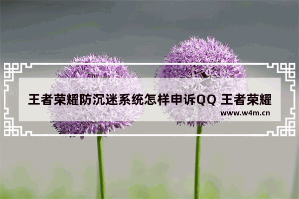 王者荣耀防沉迷系统怎样申诉QQ 王者荣耀qq怎么绑定身份证号