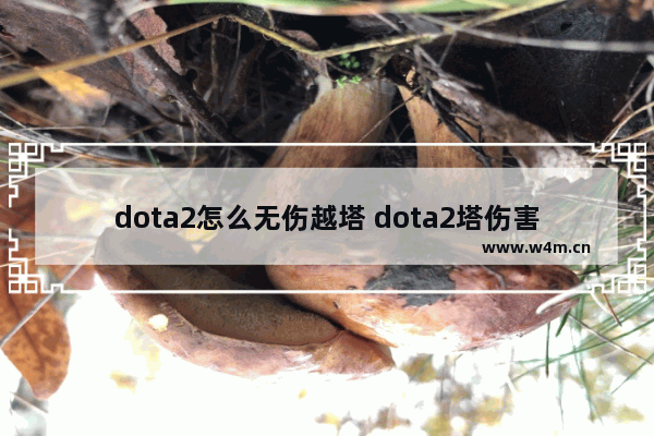 dota2怎么无伤越塔 dota2塔伤害