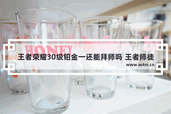 王者荣耀30级铂金一还能拜师吗 王者师徒多少级出师