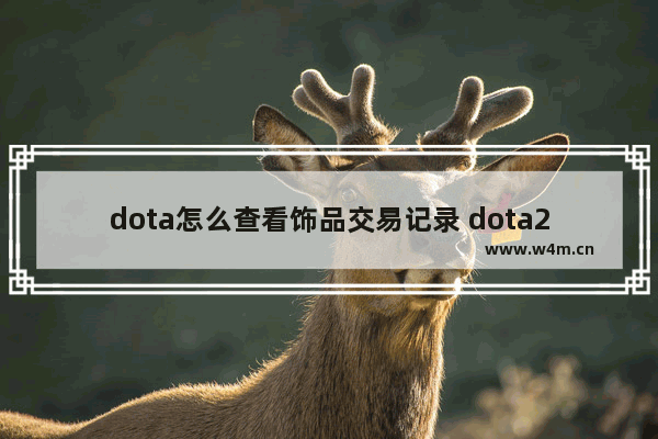 dota怎么查看饰品交易记录 dota2饰品官方交易网站