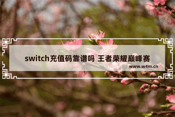 switch充值码靠谱吗 王者荣耀巅峰赛反向冲分什么意思