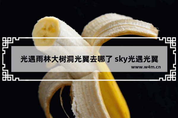 光遇雨林大树洞光翼去哪了 sky光遇光翼和先祖