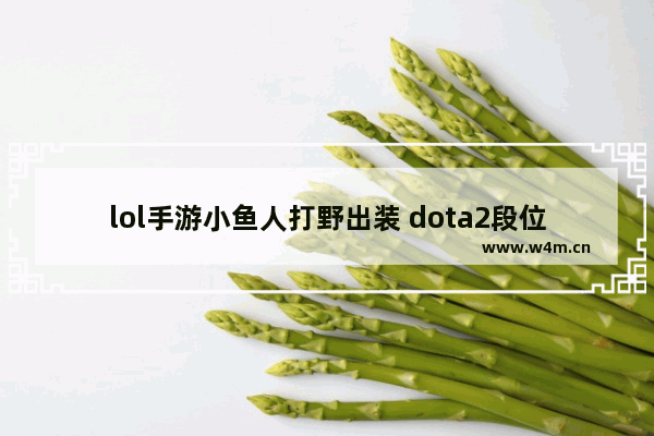 lol手游小鱼人打野出装 dota2段位机制