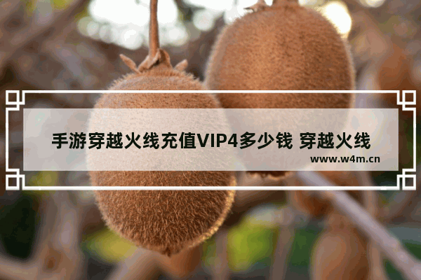 手游穿越火线充值VIP4多少钱 穿越火线vip多少钱