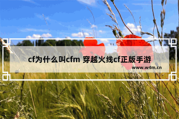 cf为什么叫cfm 穿越火线cf正版手游