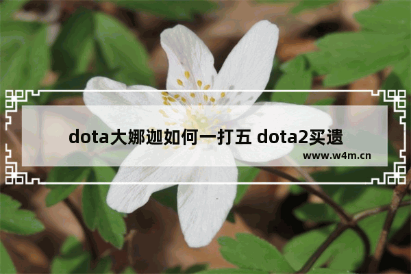 dota大娜迦如何一打五 dota2买遗产