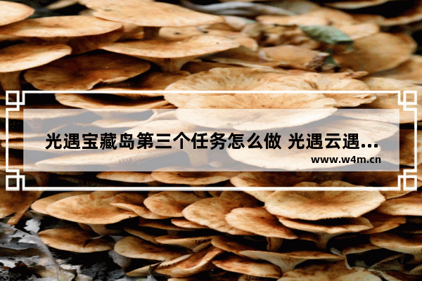 光遇宝藏岛第三个任务怎么做 光遇云遇藏宝岛礁任务