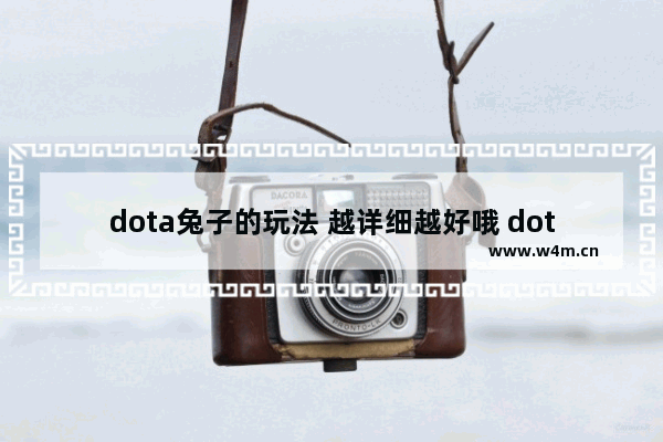 dota兔子的玩法 越详细越好哦 dota2 兔子打野