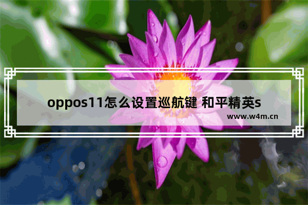 oppos11怎么设置巡航键 和平精英s11最稳灵敏度分享