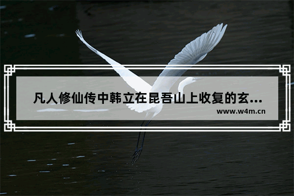 凡人修仙传中韩立在昆吾山上收复的玄言龟后来怎样了 光遇遇境的乌龟是啥