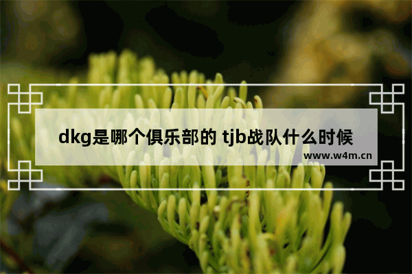 dkg是哪个俱乐部的 tjb战队什么时候成立的