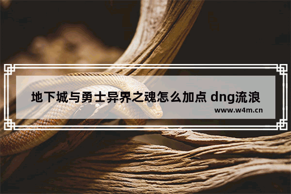 地下城与勇士异界之魂怎么加点 dng流浪武士做什么异界套比较好 好名字